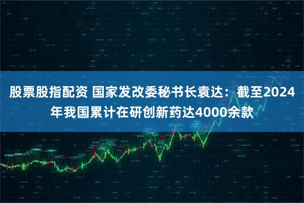 股票股指配资 国家发改委秘书长袁达：截至2024年我国累计在研创新药达4000余款